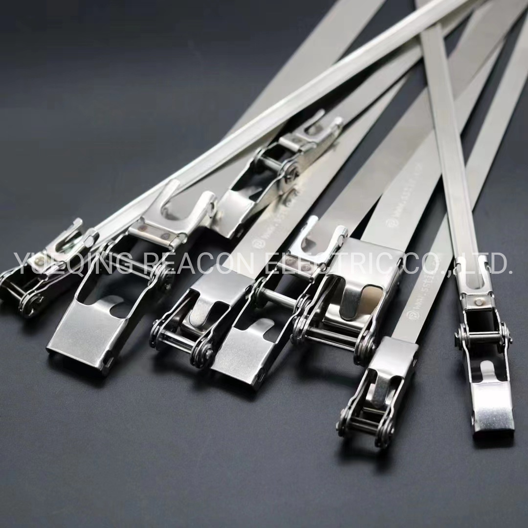 Stainless Steel Cable Tie